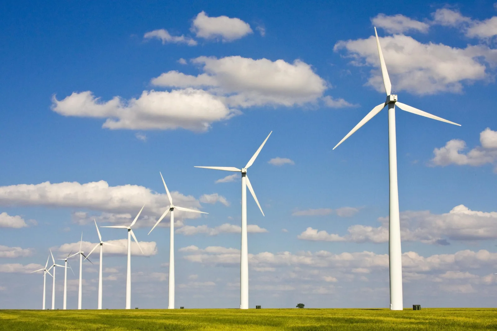 Wind turbines harvesting renewable energy
